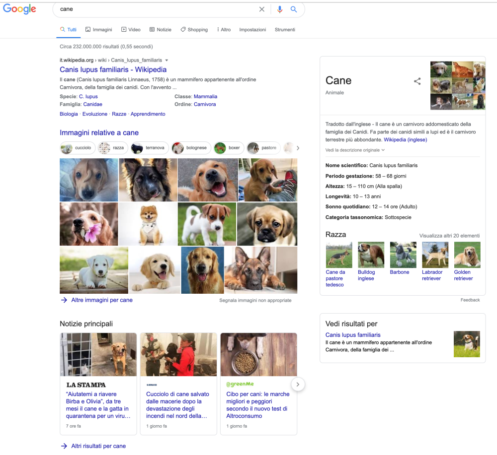 ricerca google cane